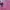 Polo Ralph Lauren Casual Cardigan Wanita pink photo 4