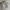 Vintage Casual Pria white photo 4