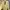 Vintage Casual Shirt Wanita yellow photo 1