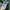 Streetwear Casual Sweatshirt Pria green cream photo 4