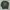 Streetwear Casual Sweatshirt Pria green cream photo 2