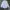 Uniqlo Minimalist Casual Formal shirt Pria white photo 1