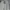Luxury Minimalist Skinny jeans Wanita gray photo 2