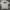 Patagonia Casual T-shirt Pria gray photo 1