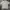 Patagonia Casual T-shirt Pria gray photo 2