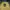 Casual Sweater Pria yellow photo 2
