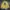 Casual Sweater Pria yellow photo 1