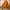 Japanese brand Y2K Sportswear Windbreaker Pria white orange photo 7