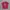 Gildan Streetwear Y2K T-shirt Pria burgundy red photo 1