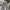 Streetwear Skater Jeans Pria multicolor photo 2