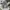 Streetwear Skater Jeans Pria multicolor photo 1