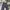 Streetwear Skater Jeans Pria multicolor photo 4
