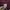 Japanese brand Sportswear Jersey Pria burgundy photo 3