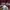 Japanese brand Sportswear Jersey Pria burgundy photo 8