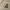 Minimalist Wanita white photo 3
