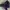 Timberland Gorpcore Bomber jacket Pria black photo 6