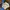 VETEMENTS Streetwear Luxury Hoody Pria White Blue