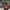 Adidas Streetwear Sportswear Track jacket Pria multicolor photo 5