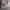 Converse Casual Sneakers Pria gray photo 1