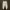 Pull & Bear Minimalist Sweatpants & Joggers Wanita Cream