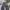 Streetwear Skater Jeans Pria multicolor photo 4