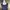 Sportswear Bra Wanita Navy