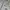 Converse Gorpcore Track jacket Pria gray photo 3