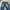 Streetwear Skater Jeans Pria multicolor photo 4