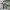 Streetwear Skater Jeans Pria multicolor photo 1