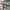 Streetwear Skater Jeans Pria Multicolor
