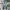Streetwear Skater Jeans Pria multicolor photo 2