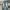 Streetwear Skater Jeans Pria multicolor photo 4