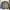 Japanese Brand Vintage Sportswear Harrington Jacket Pria Gray