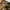 Vintage Casual Hat Pria tan photo 1