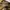 Vintage Casual Hat Pria Tan