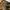 Vintage Casual Hat Pria tan photo 2