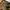 Vintage Casual Hat Pria Tan