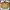 Japanese Brand Casual Bomber Jacket Pria Gold Khaki