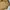 Japanese brand Casual Bomber jacket Pria gold khaki photo 2
