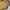 Japanese Brand Casual Bomber Jacket Pria Gold Khaki