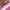Urban Outfitters Casual T-shirt Pria Pink