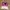 Urban Outfitters Casual T-shirt Pria pink photo 3