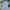 Streetwear Skater Formal shirt Pria multicolor photo 3