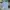 Streetwear Skater Formal shirt Pria multicolor photo 1