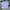 Streetwear Skater Formal shirt Pria multicolor photo 1