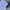 Streetwear Skater Formal shirt Pria multicolor photo 2