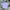 Streetwear Skater Formal shirt Pria multicolor photo 1