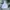 Streetwear Skater Hoody Pria multicolor photo 3