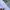 Streetwear Skater Hoody Pria multicolor photo 8
