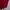 Burberry Casual Polo shirt Pria red photo 4